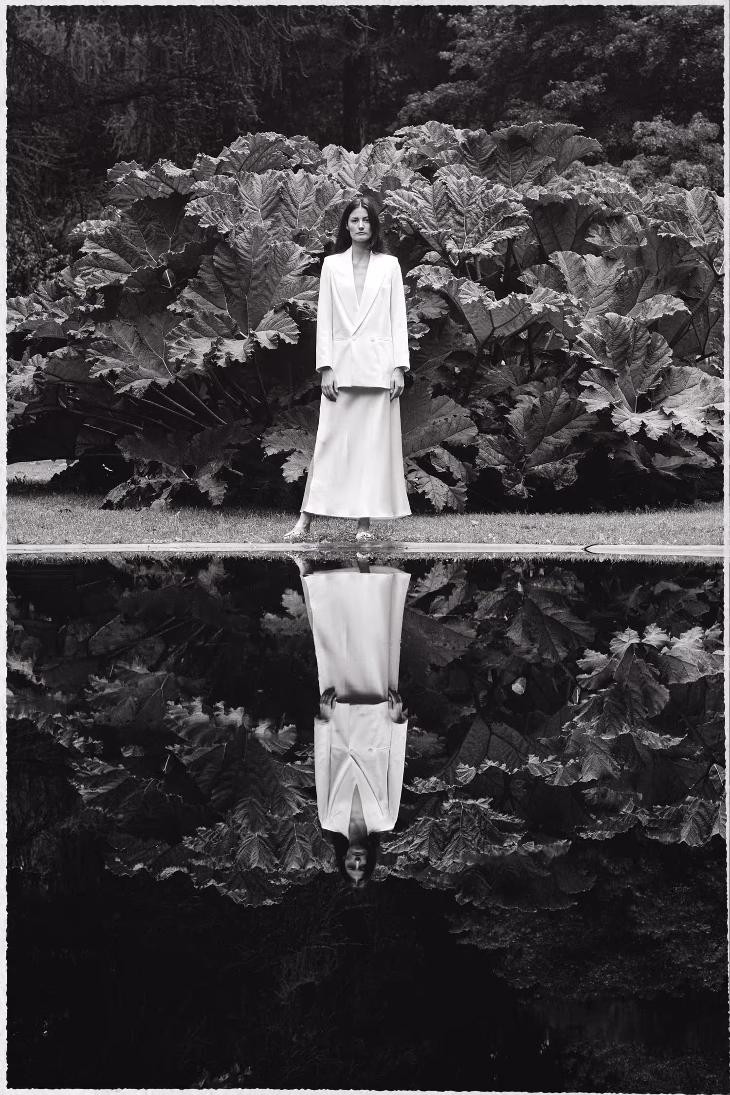 A woman in a dress standing by the pond with giant gunnera in the background