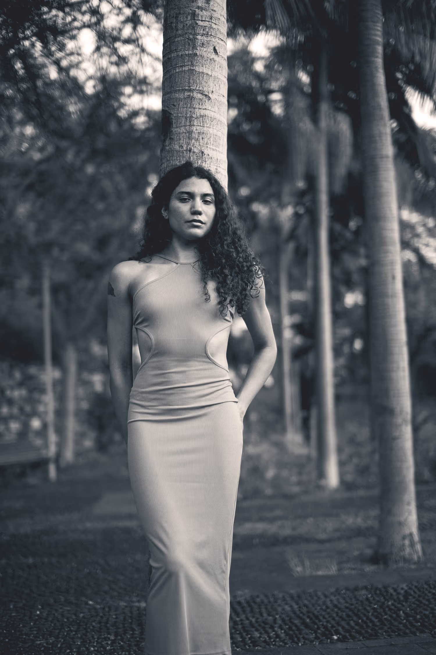B&W fashion editorial portrait shot in Madeira's Santa Luzia garden, featuring a curly-haired model against a cinematic bokeh background of palm trees.